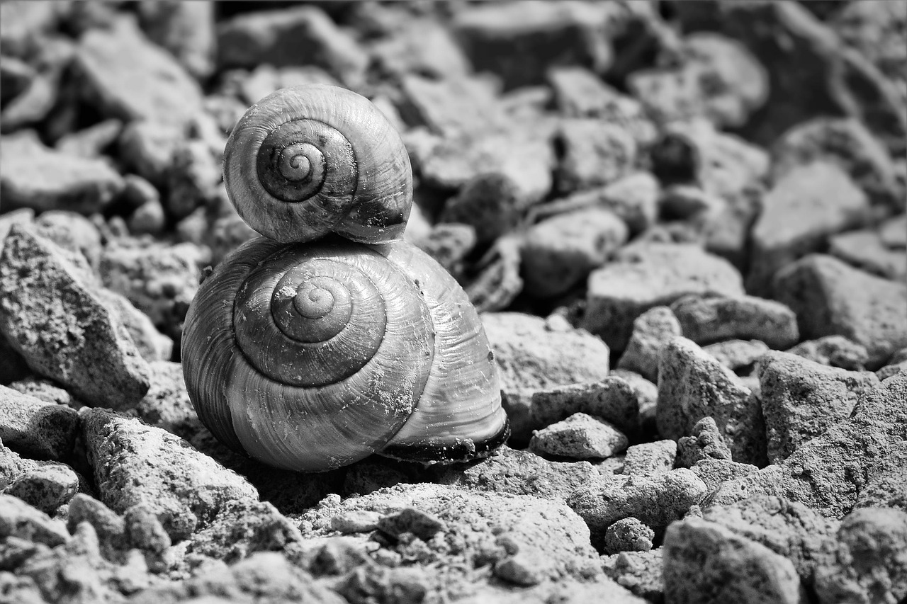 美白クリームの黒ずみに対する効果はいつから出るのか？