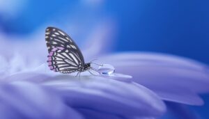 VIOの黒ずみクリームランキングで嘘はあるのか？