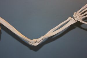 肘の黒ずみを解消するクリームを寝る前に使ったケア方法は？